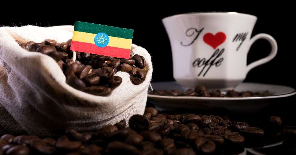 best ethiopian coffee