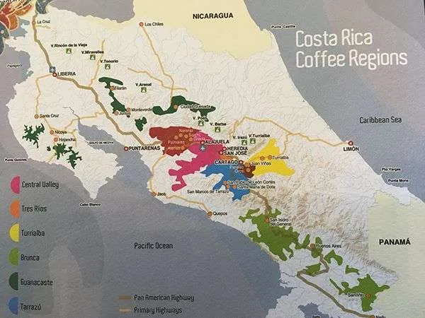 costa rica coffee regions
