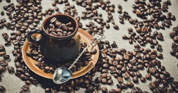 best kenyan coffee